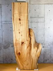 クス一枚板241×59〜102cm 【天板のみ】 No.683 ツーマンデリバリーでお部屋までお届け!