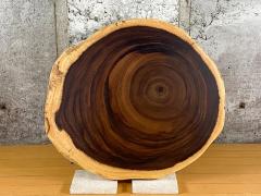 【Aランク素材】 モンキーポッド一枚板 輪切り 54.5～62cm 【天板のみ】 No.690